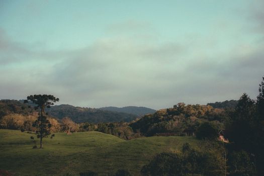 Free stock photo of countryside, dawn, daylight