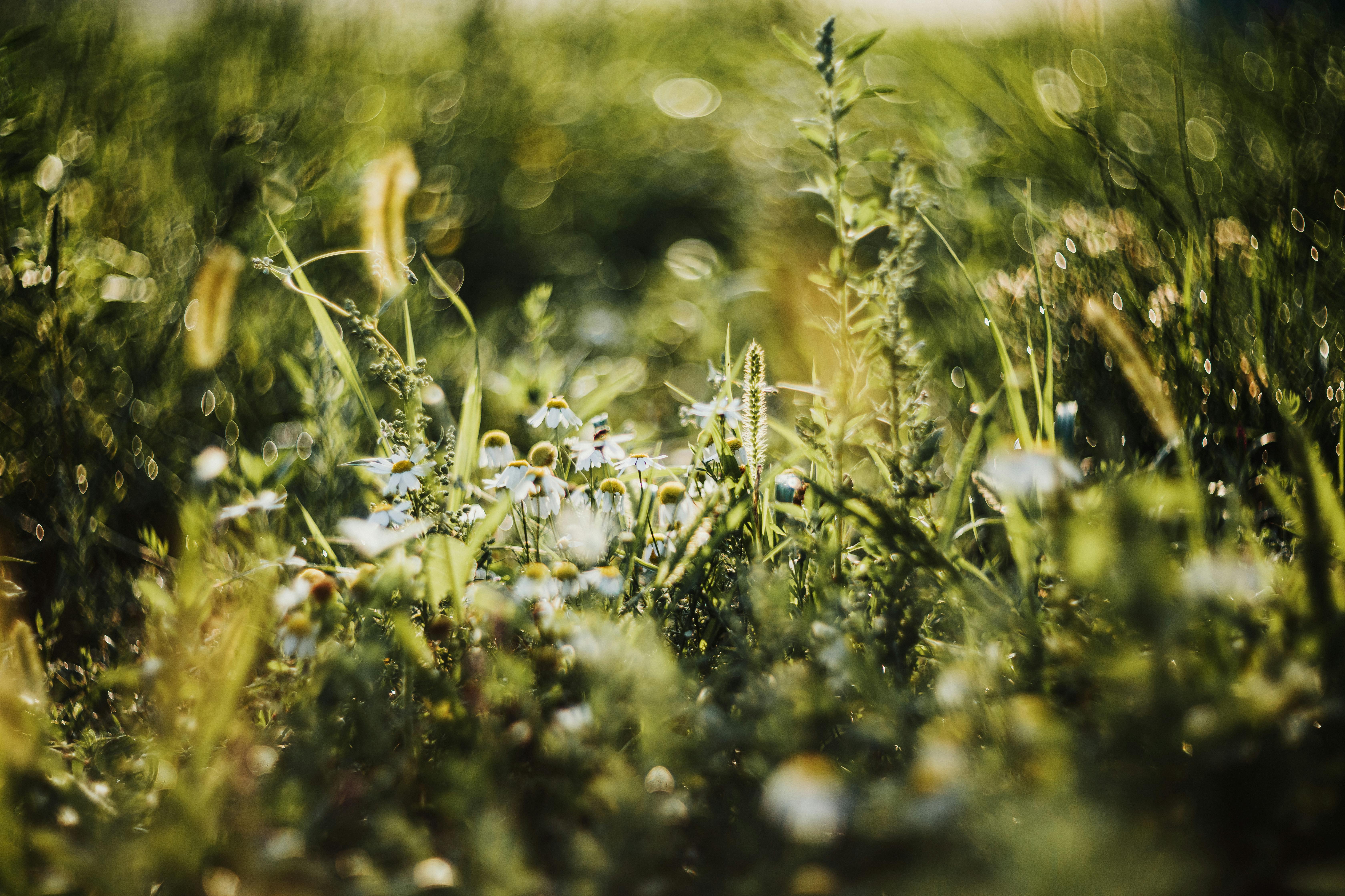 Can My Child Play Tennis If They Have Allergies To Grass Or Pollen?