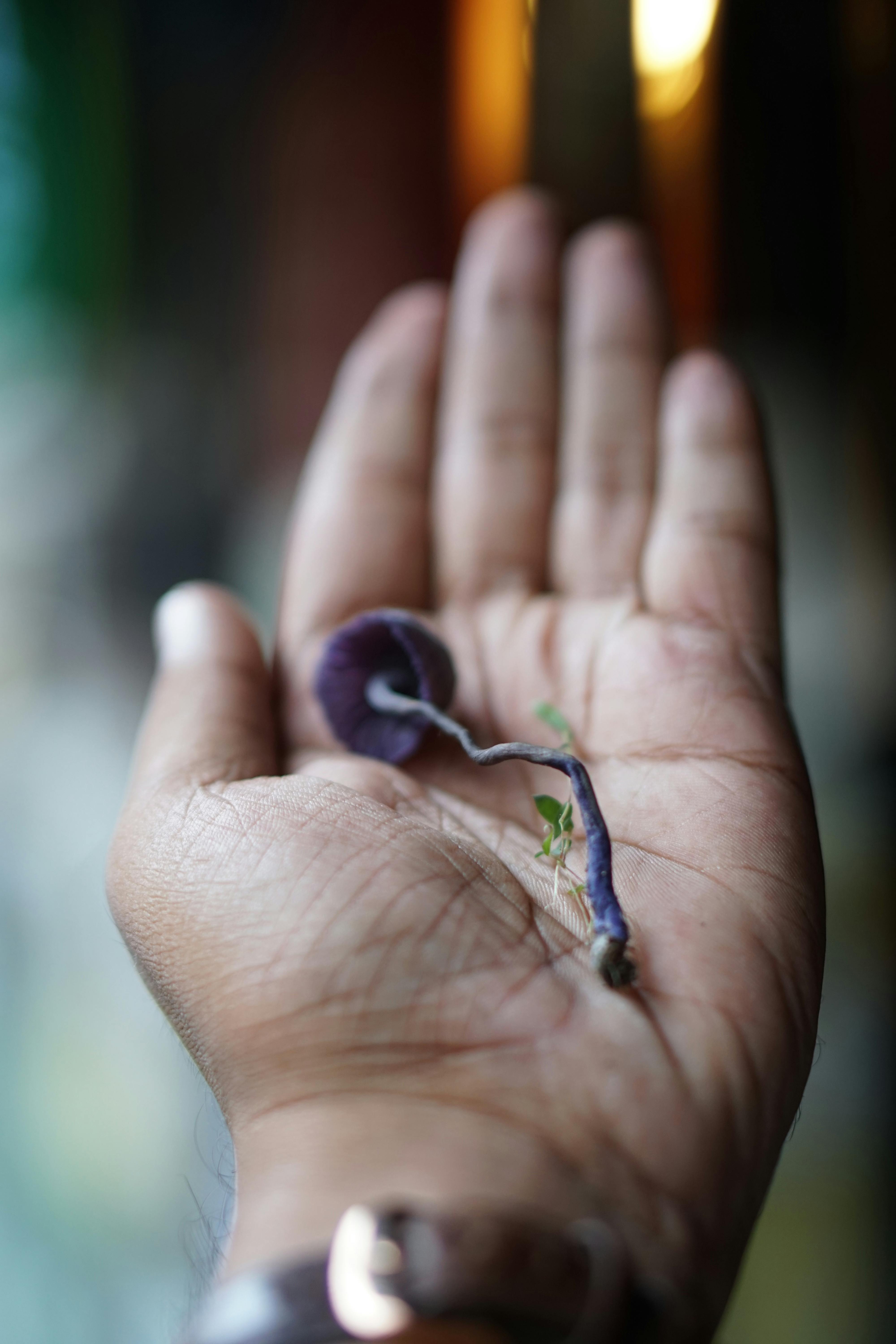 Mulai Dari Hal Kecil: Checklist Sustainability Backpacker