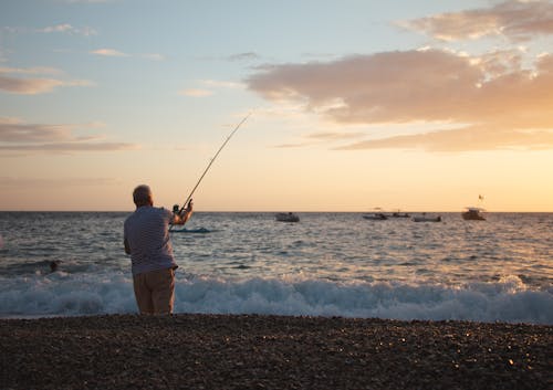 Immagine gratuita di bagnasciuga, canna da pesca, costa