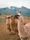 south america
