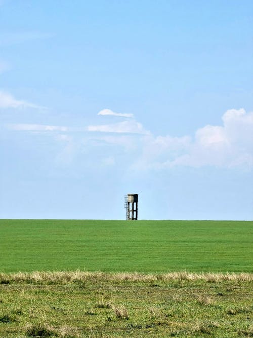 Green, Rural Field