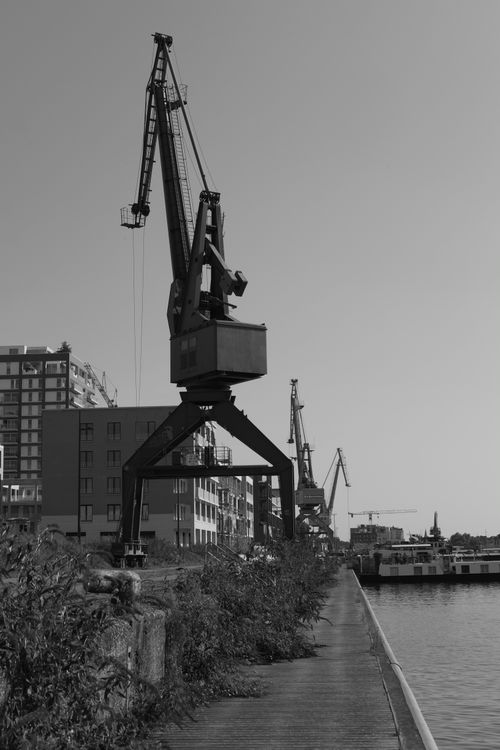 Free Black and white photo of industrial cranes at a bustling urban harbour. Stock Photo