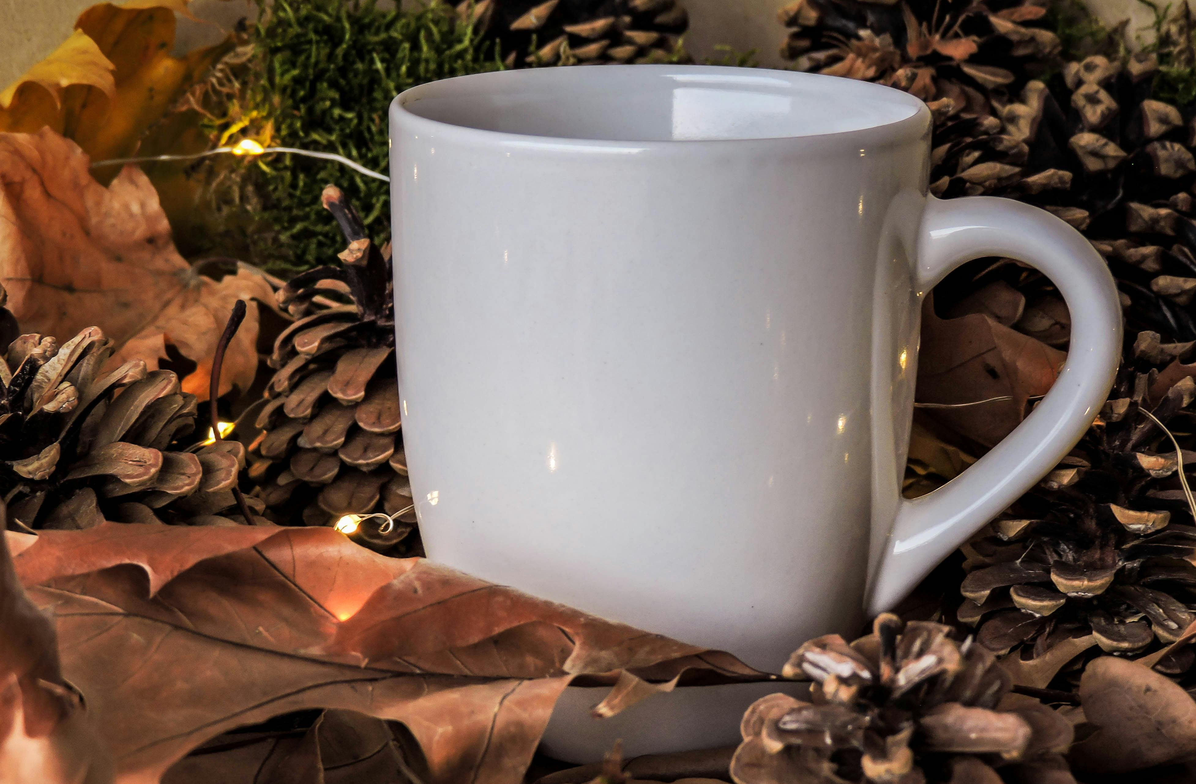 Free Stock Photo Of Autumn Decoration Coffee Mug Mockup
