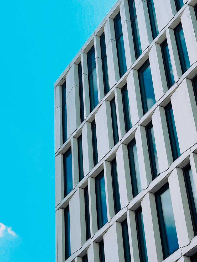 Windows Of An Office Building