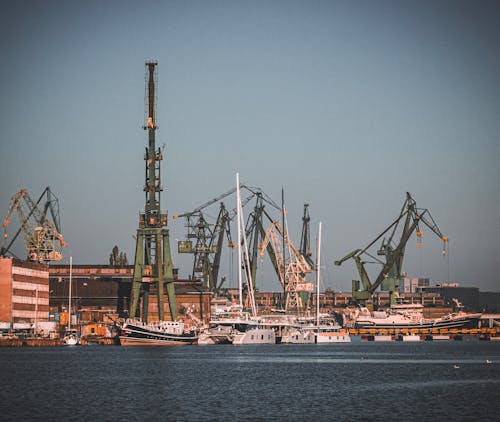 Foto d'estoc gratuïta de drassana de gdansk, grues, indústria