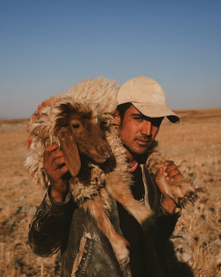 Man In Cap Carrying Sheep