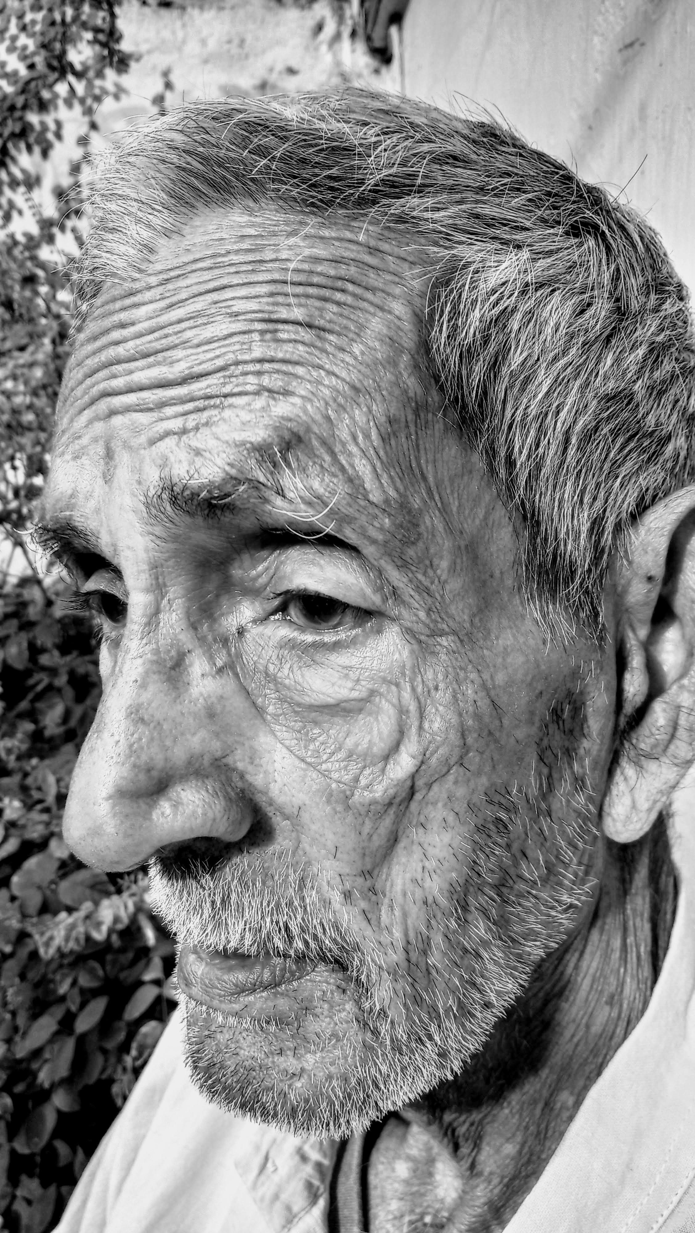 Free stock photo of grandpa, old man