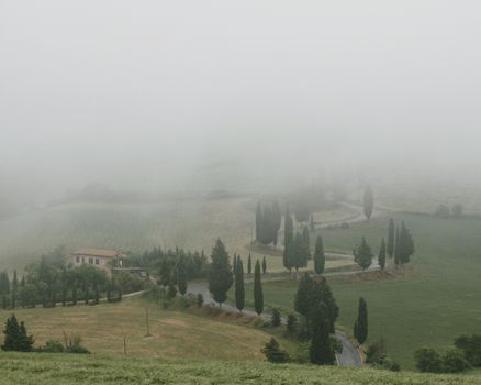 Misty scene of a countryside landscape featuring cypress trees, a winding road, and a farmhouse enveloped in fog.