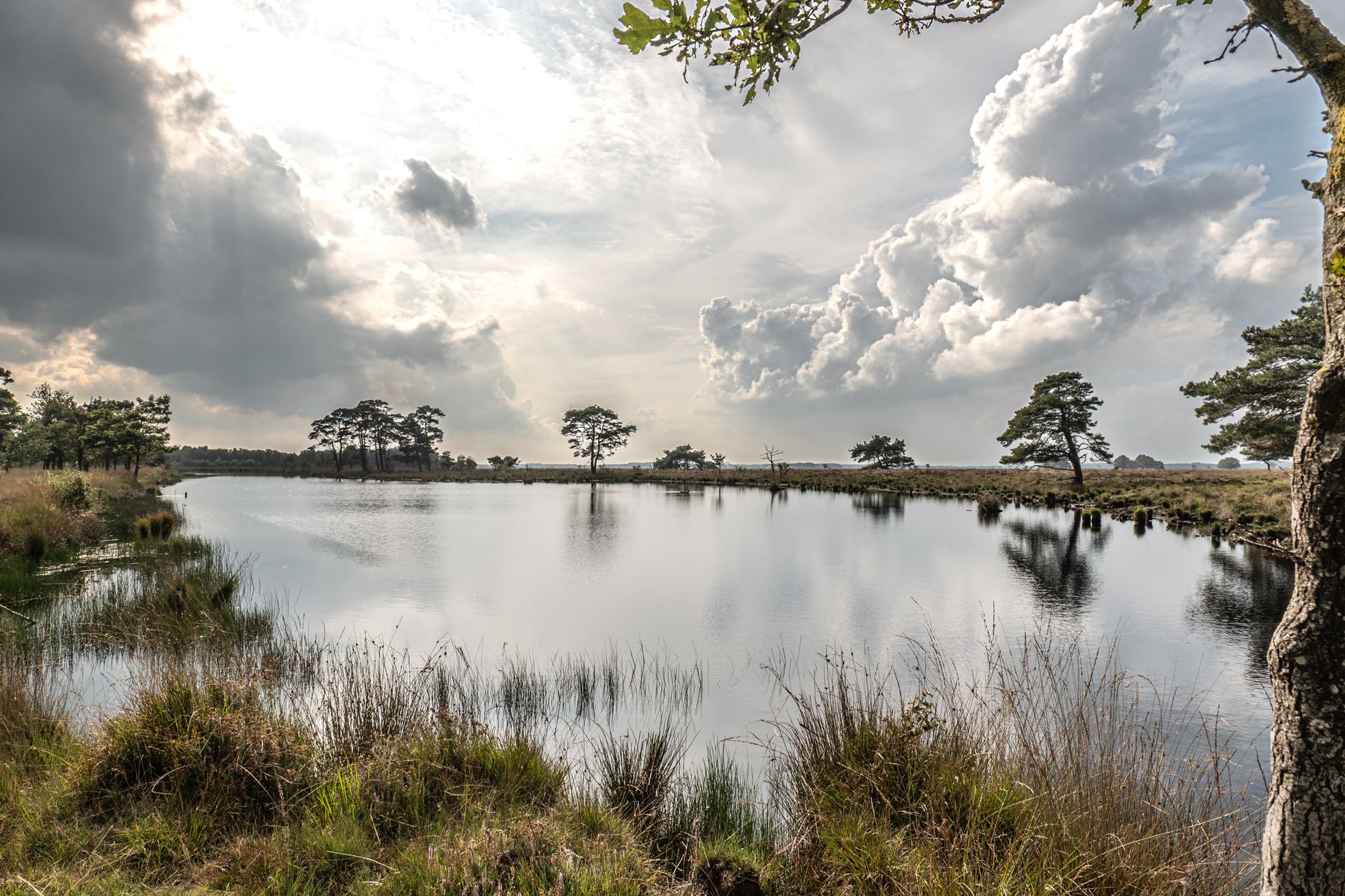 Waterschap plaatst pomp na vernattingsproject Kampina, akkerbouwer krijgt geen schadevergoeding