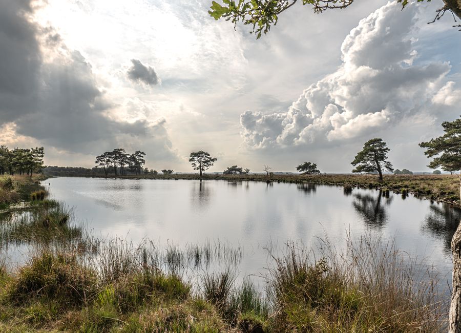 A tranquil lake scene in Dwingeloo, Netherlands, with dramatic clouds and surrounding nature.