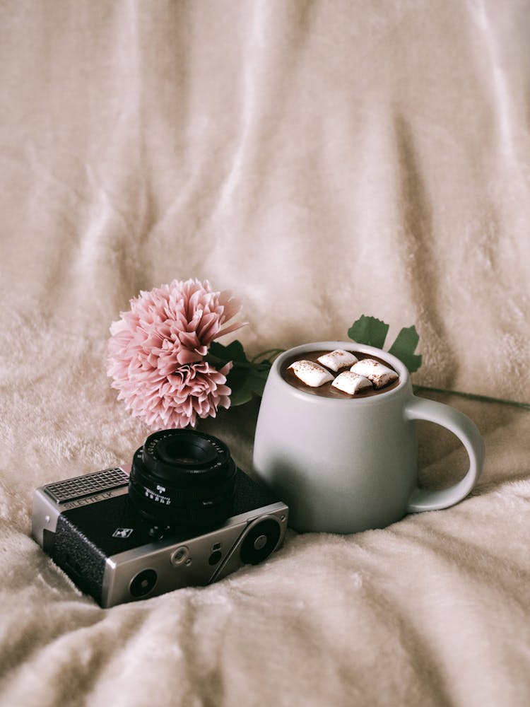 Camera, Cup And Flower