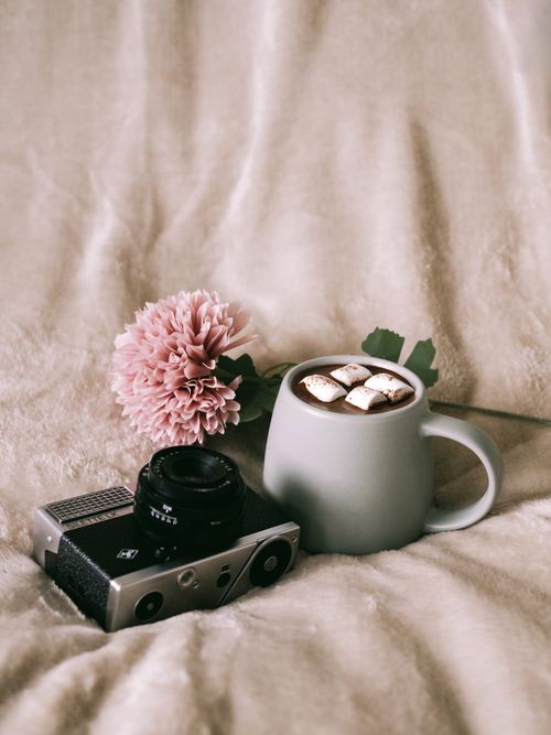 Free A vintage camera beside a mug of hot cocoa and a pink flower on a soft beige background. Stock Photo