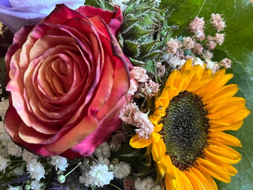 4k 桌面, 一束花, 向日葵 的 免费素材图片