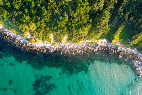 Free Stunning aerial view of a lush forest meeting a turquoise coastline on a sunny day. Stock Photo
