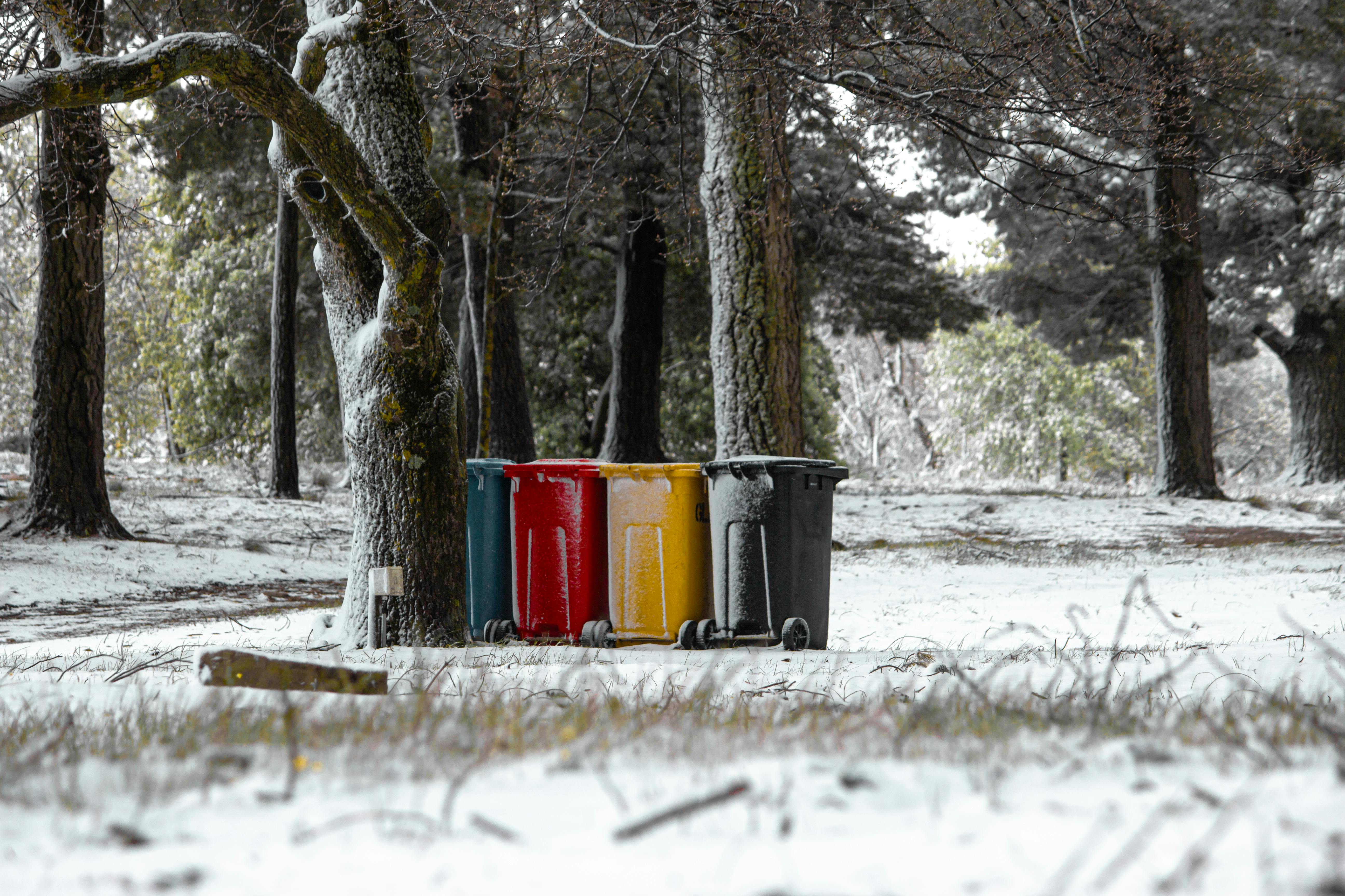 Multicolored Wheeled Recycle Bins in a Snow Covered Park · Free Stock Photo