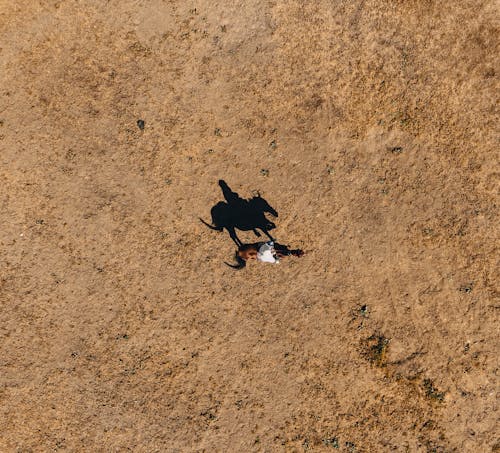 Top View of a Person Horseback Riding