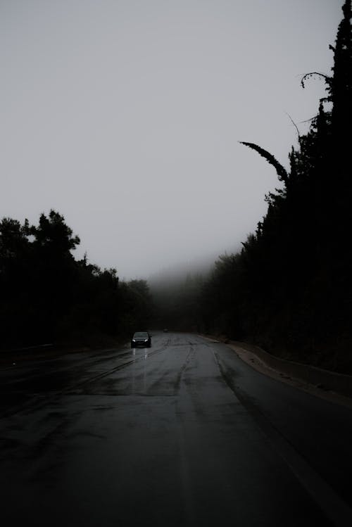 Foto profissional grátis de árvores, automóvel, chuva