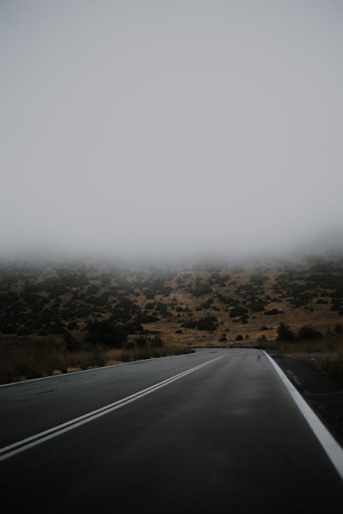 Thick Fog Floating over an Empty Asphalt Road