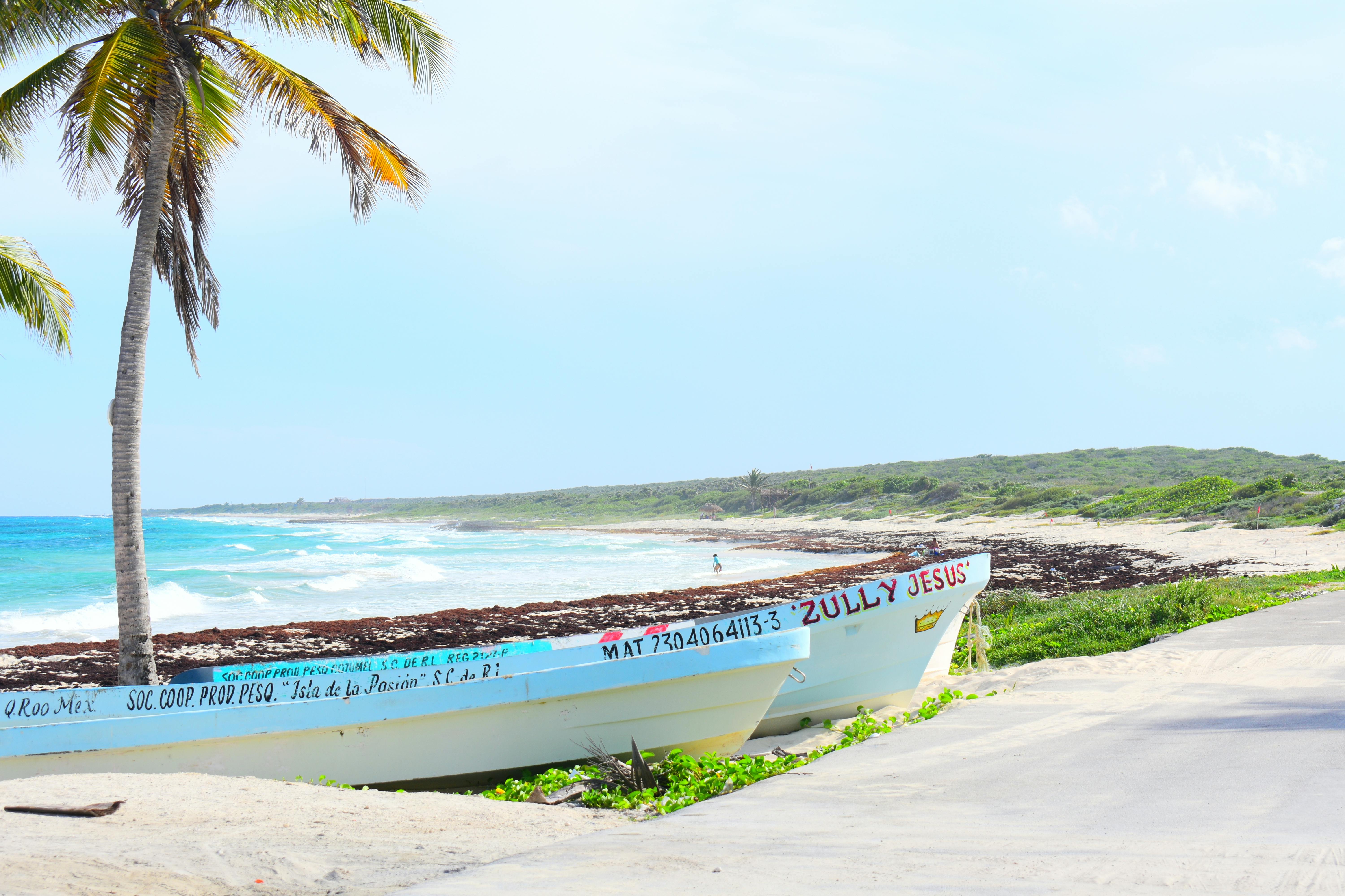 Idyllic tropical beach with a lone palm tree and fishing boat on a sunny day, perfect for vacation dreaming.