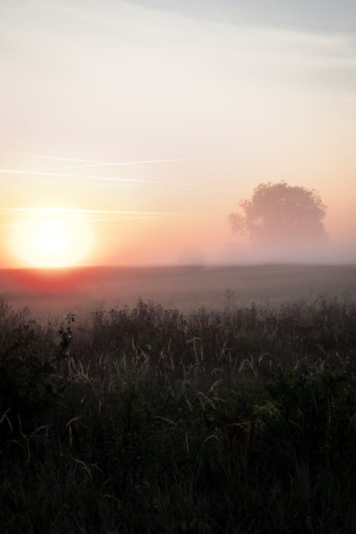 Darmowe zdjęcie z galerii z boiska, fotografia artystyczna, gęsta mgła