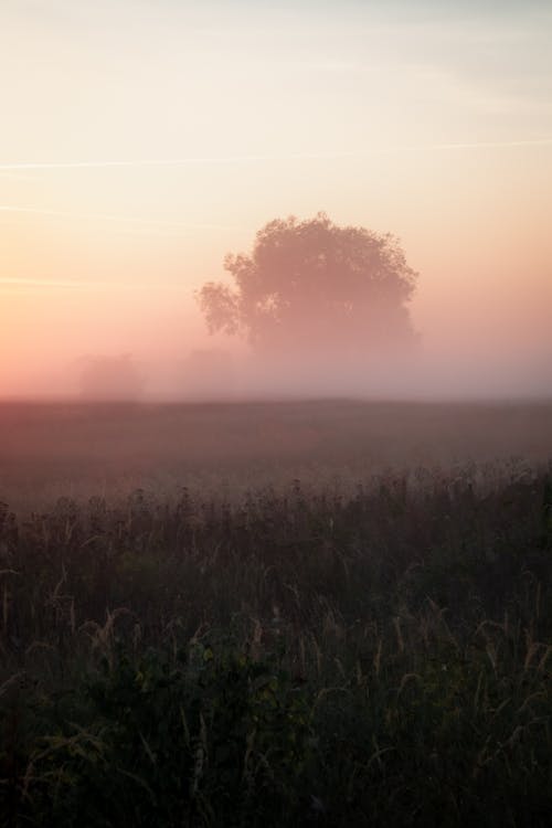 Darmowe zdjęcie z galerii z fotografia krajobrazowa, kreatywne treści, mglisty krajobraz