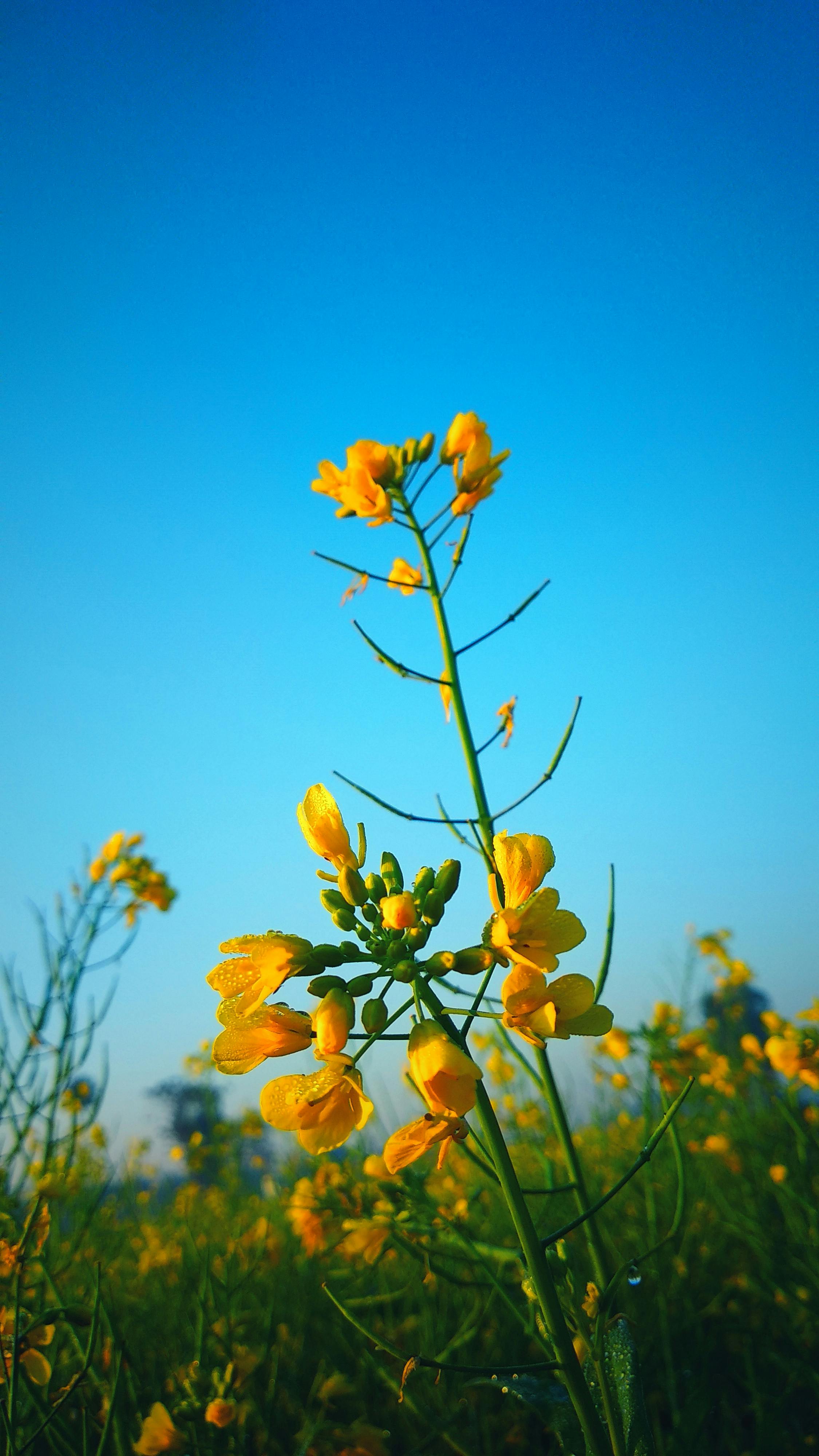 التحرك إلى لوزان