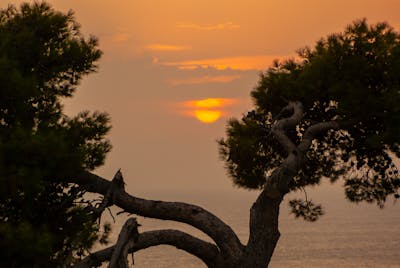 伤心适合发朋朋友圈的句子 伤心适合发朋朋友圈的句子简短