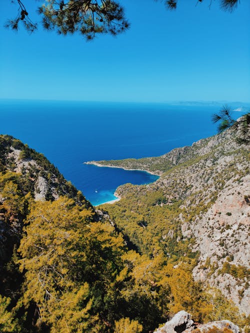 View of a Coastline