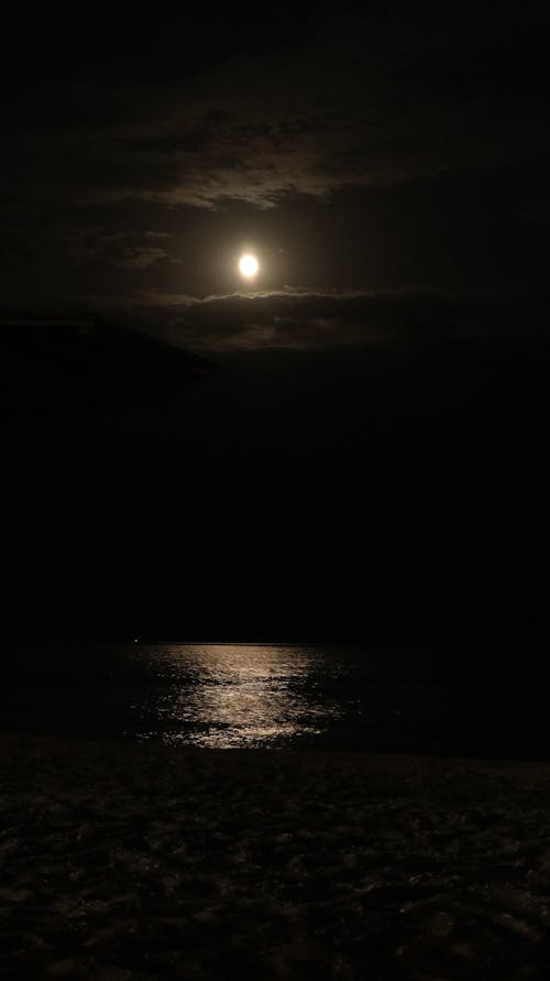 Gecenin Deniz ve Ayı
