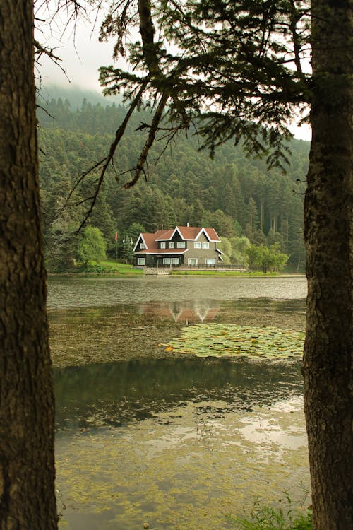A House by a Lake