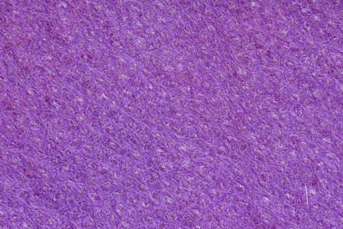 Close up of a Purple Texture 