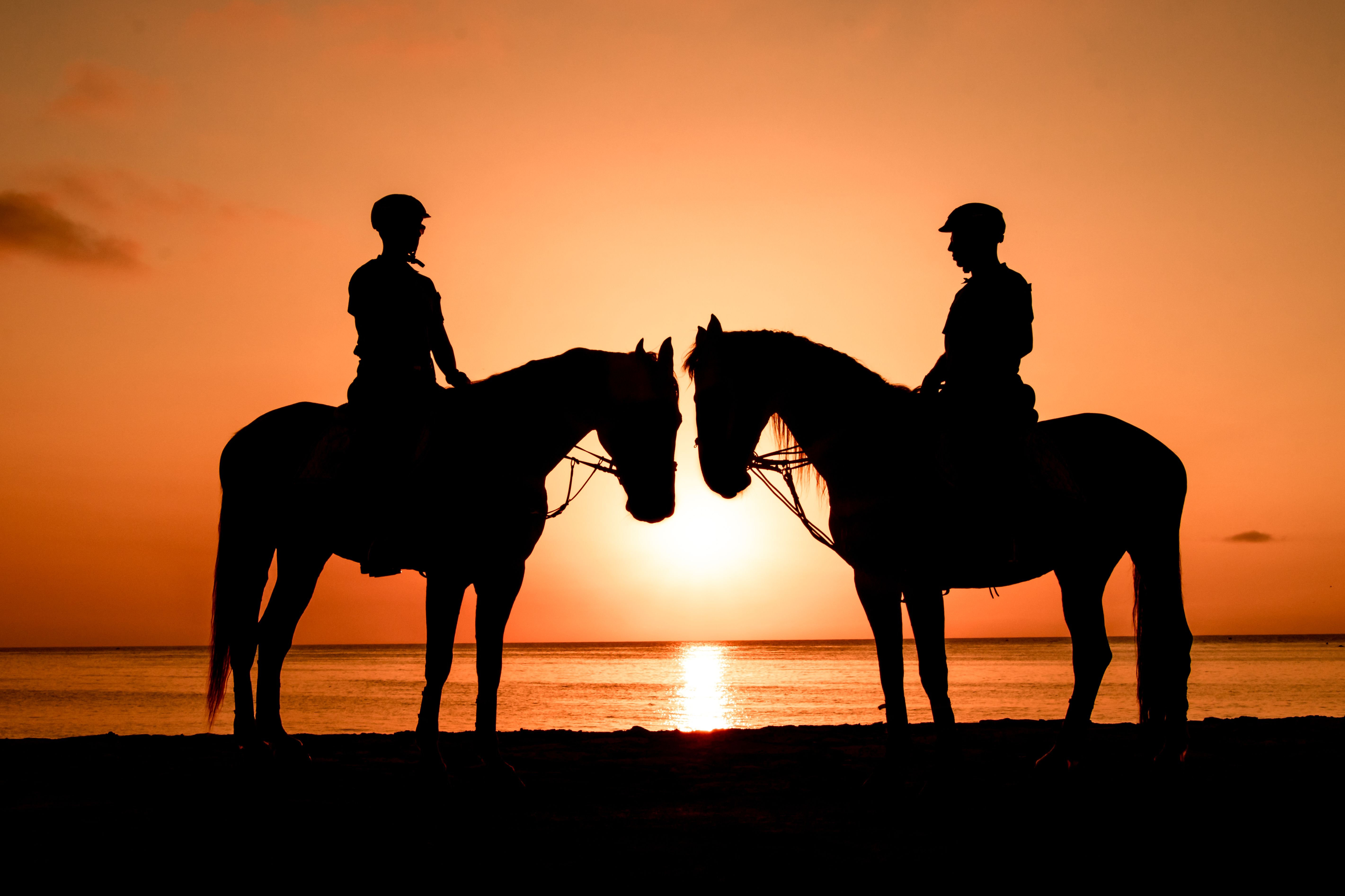 Two riders silhouetted on horseback at Caribbean sunset
