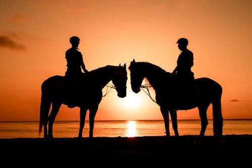 Silhouettes of People Riding on Horseback on the Beach