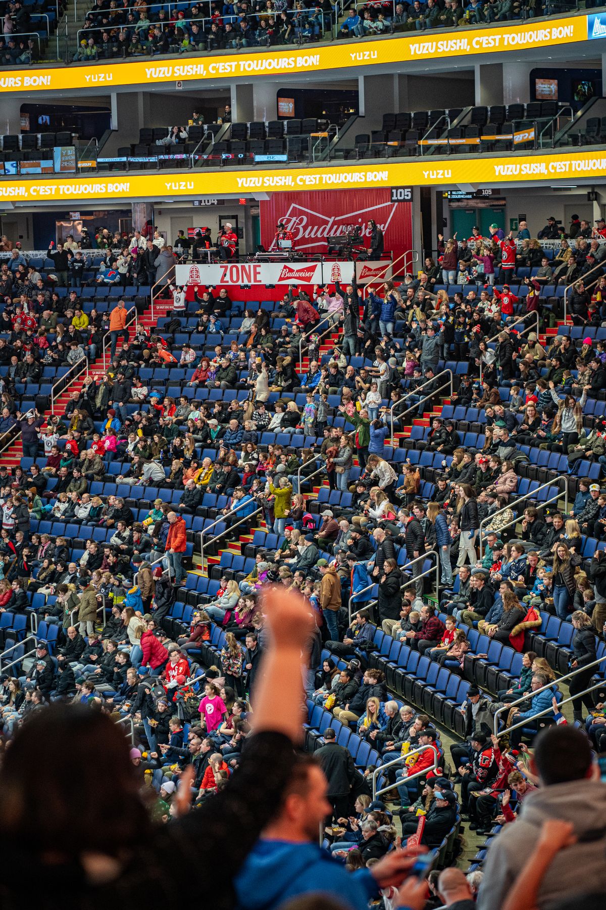 A vibrant crowd cheering at a sports event in a stadium
