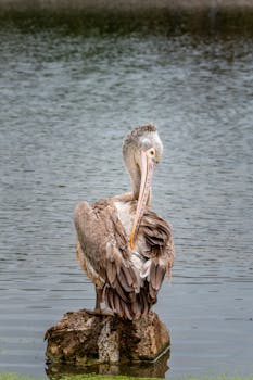 Те у кого есть Инстаграм, прошу пожалуйста подписаться на мой секретный аккаунт и наставить огоньков на рилсы: Прикла...