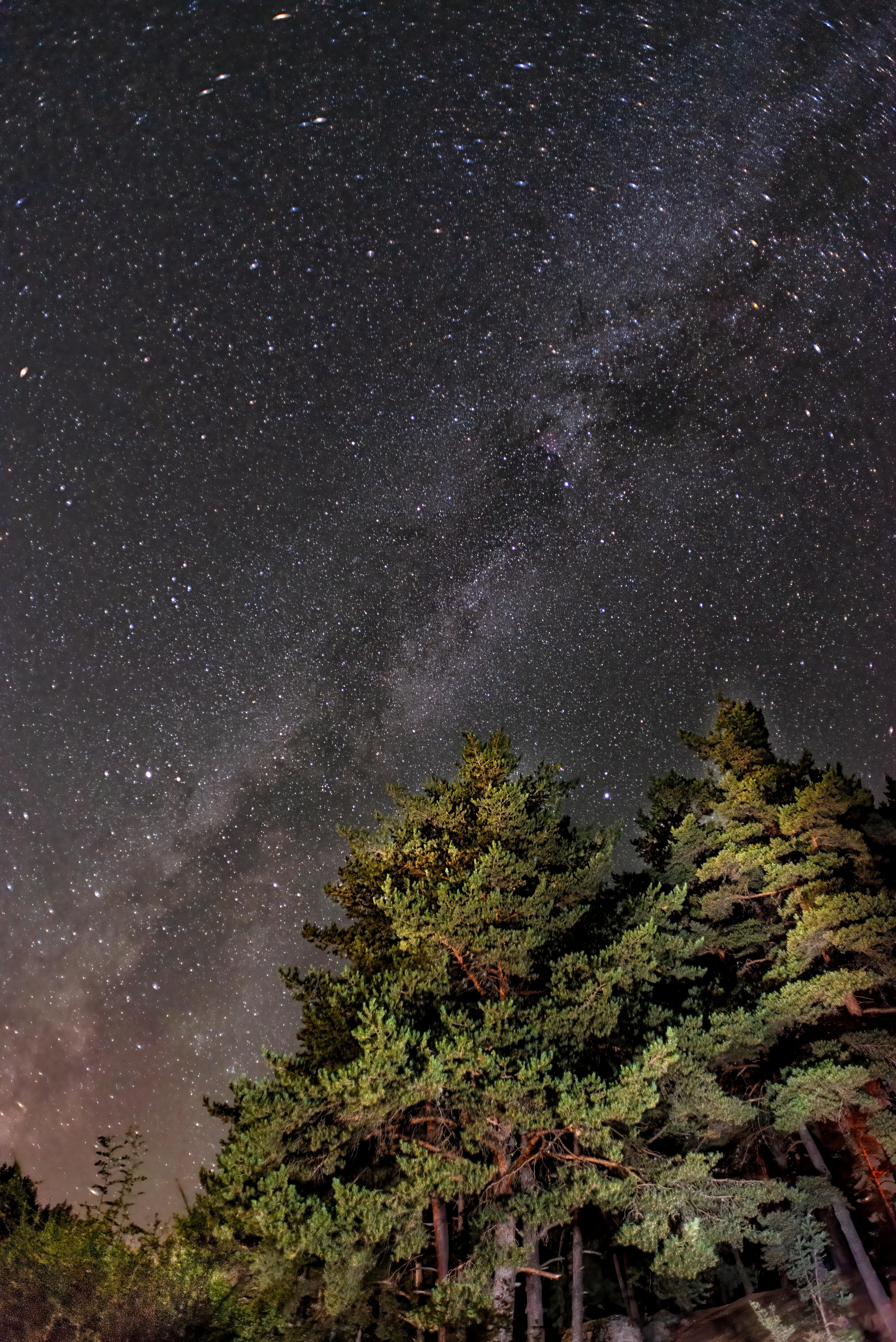 Stunning night sky with Milky Way visible above forest in Çubuk, Ankara, Türkiye.
