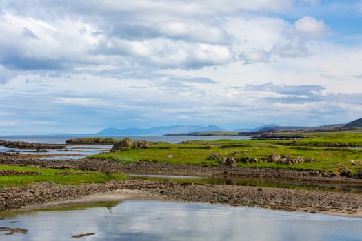 A small body of water with grass and rocks