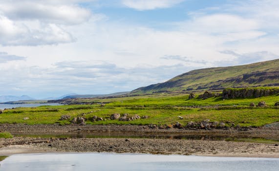 Tranquil Icelandic coastal landscape with green fields, hills, and water. Perfect for travel enthusiasts.
