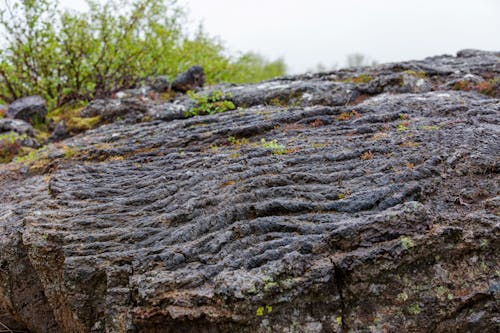 アイスランド, アイスランドの溶岩石層, ごつい石の無料の写真素材