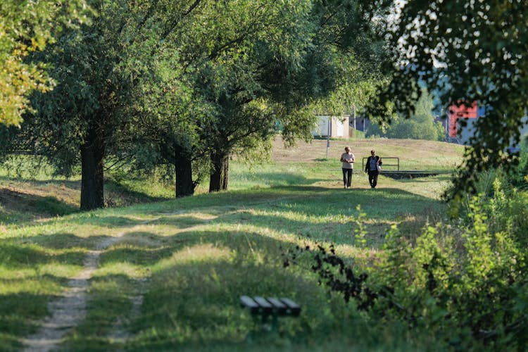 People Walking On Footpath Among Trees