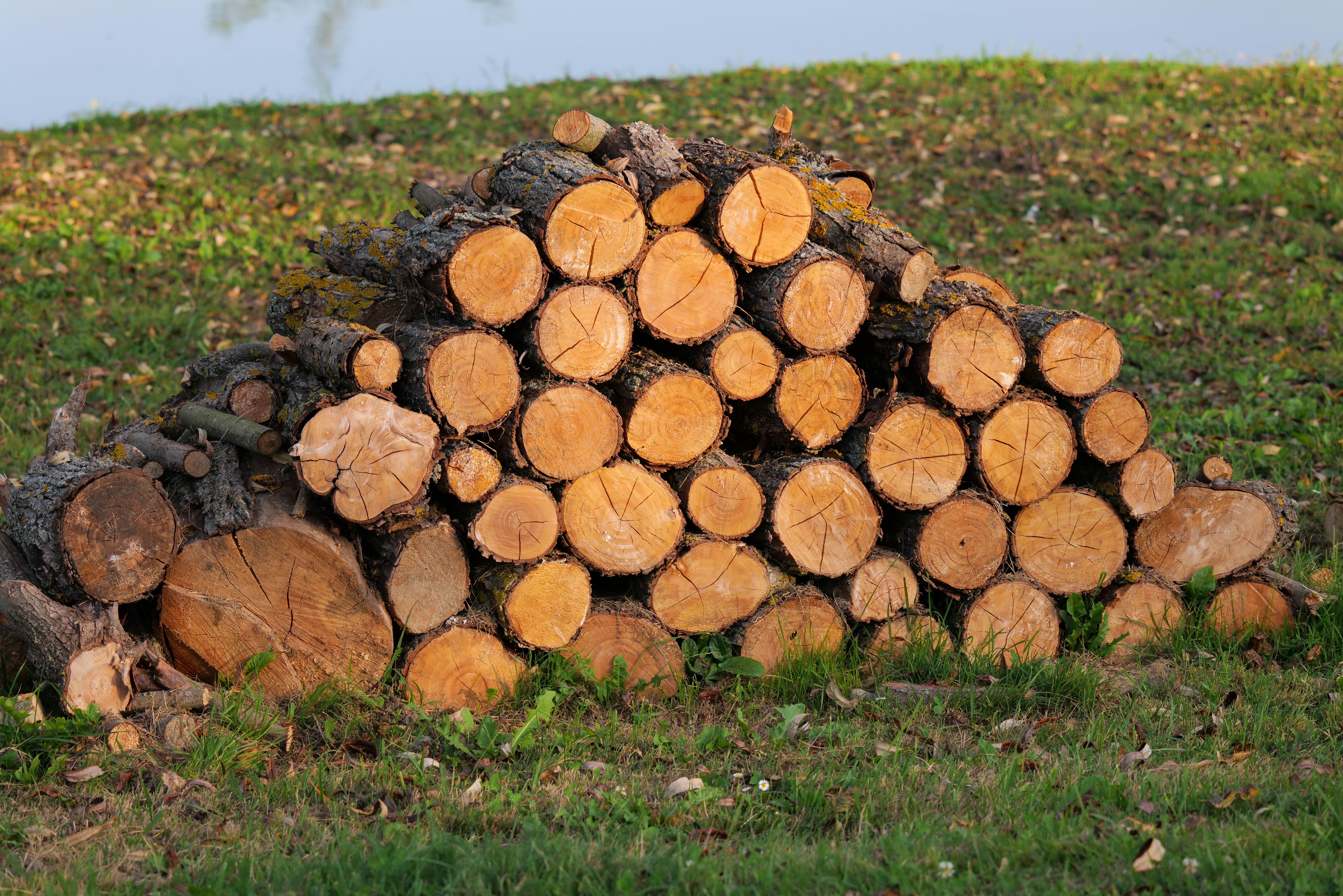 Pile of stacked timber logs outdoors on a grassy area in a rural location.
