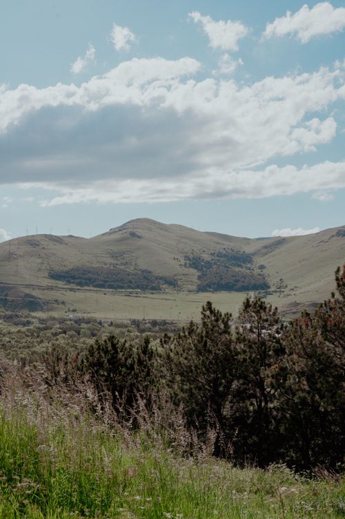 Free A picturesque view of rolling hills and greenery under a cloudy sky in a rural setting. Stock Photo