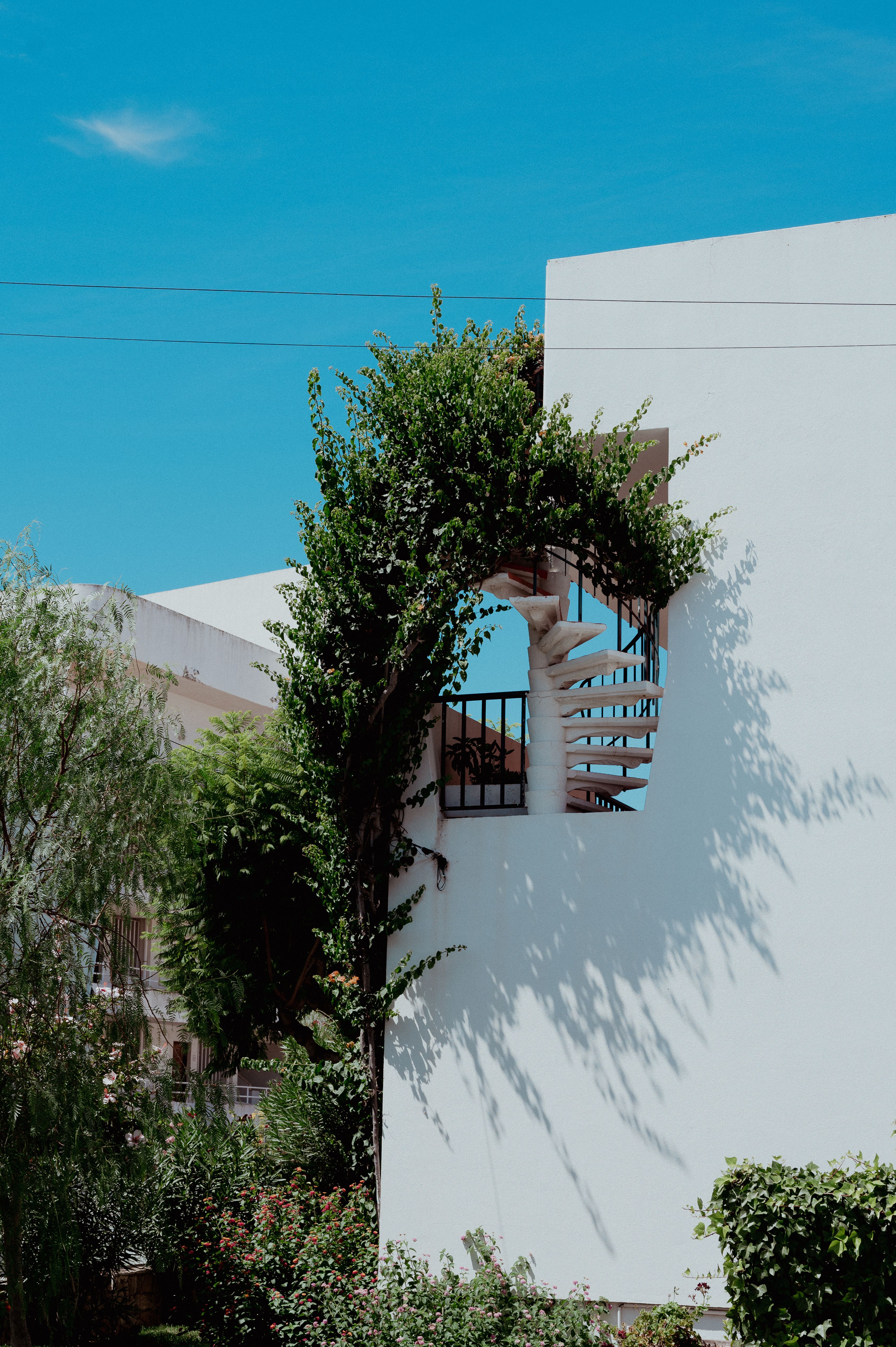 A minimalist white building exterior featuring a spiral staircase enveloped by lush green plants under a clear blue sky.