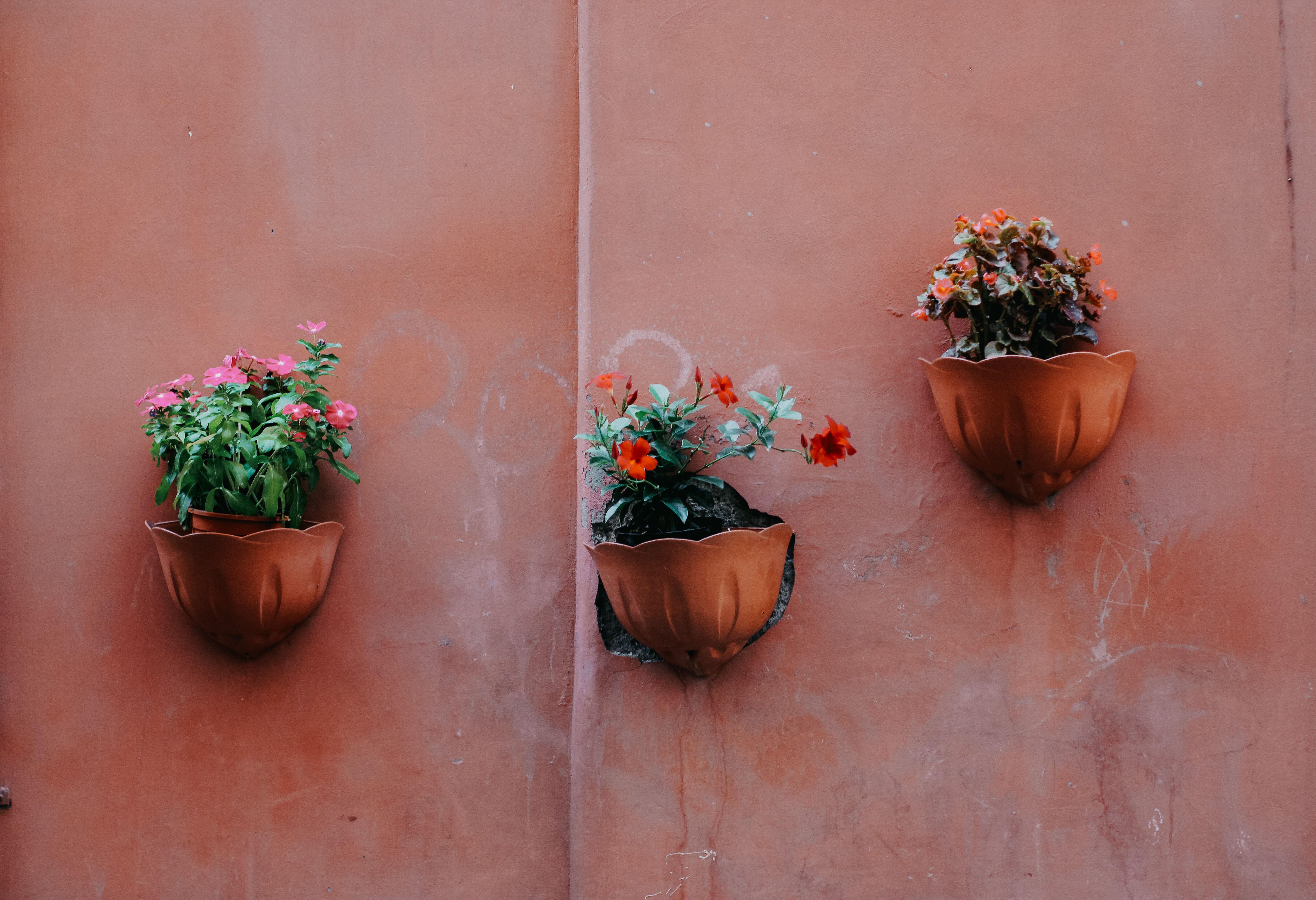 5 DIY-Blumentopf-Ideen aus einfachen Materialien — Schritt-für-Schritt-Anleitung