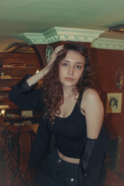 Free A fashionable indoor portrait of a young woman with curly hair in Ankara, Türkiye. Stock Photo