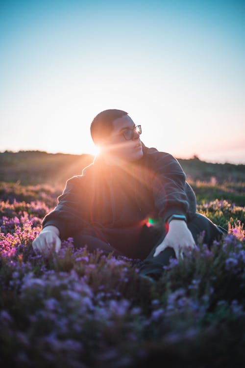 Gratis lagerfoto af blomster, eng, lodret skud