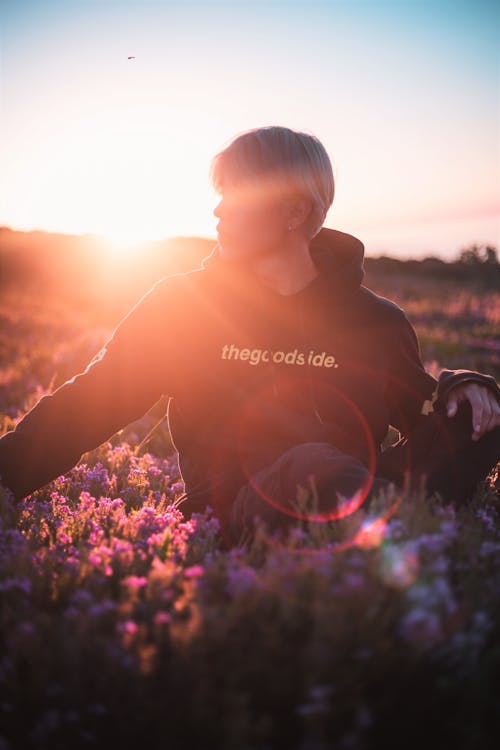 Gratis lagerfoto af bane, blomster, idyllisk