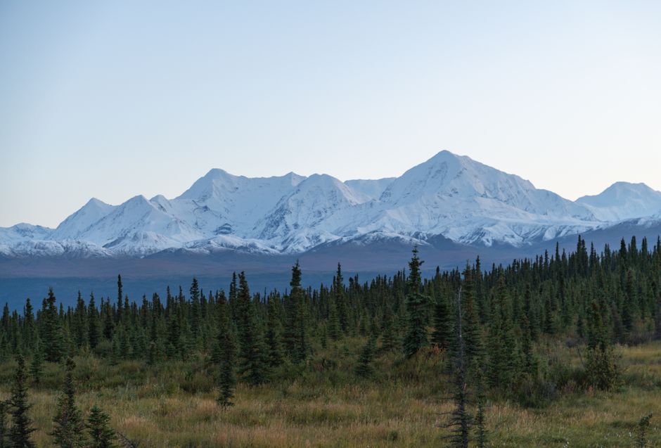 Scenic view of snow-capped mountains and lush forest in Alaska, USA, captured during day.