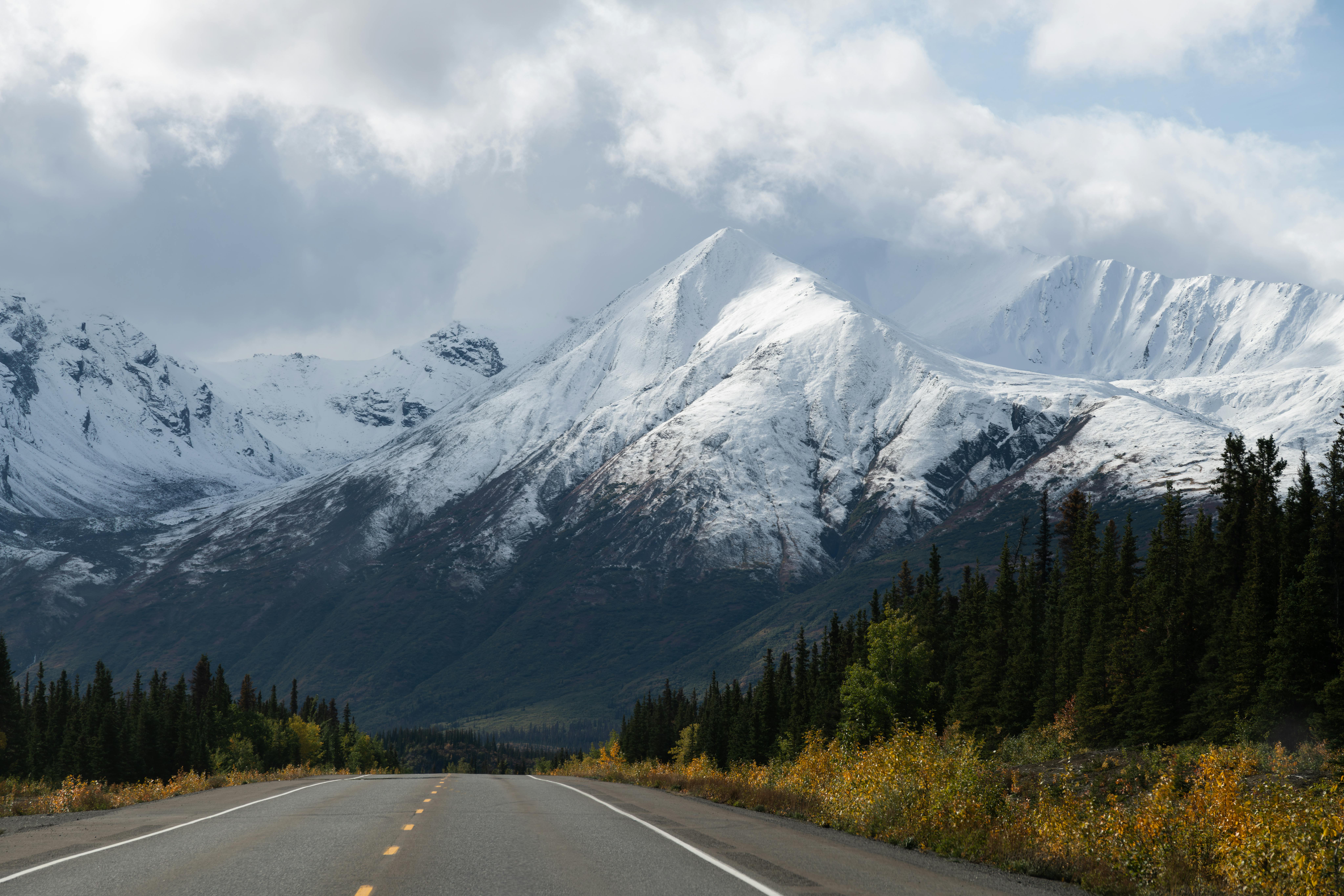 Alaska attorneys to provide free legal help on MLK Day holiday — Photo by John De Leon on Pexels